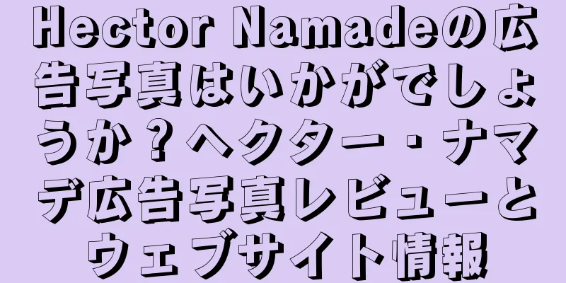Hector Namadeの広告写真はいかがでしょうか？ヘクター・ナマデ広告写真レビューとウェブサイト情報