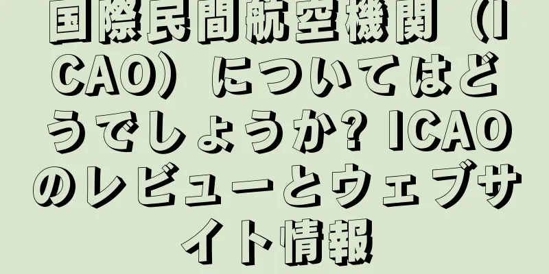 国際民間航空機関（ICAO）についてはどうでしょうか? ICAOのレビューとウェブサイト情報