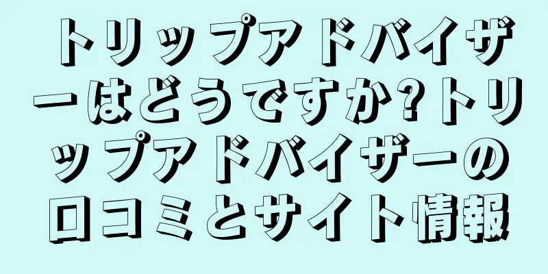 トリップアドバイザーはどうですか?トリップアドバイザーの口コミとサイト情報