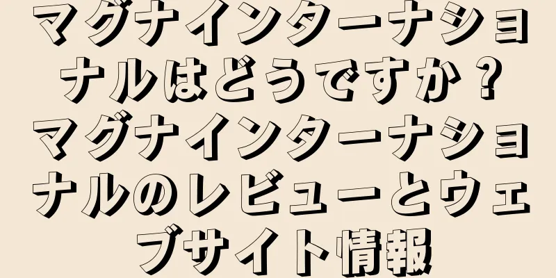 マグナインターナショナルはどうですか？マグナインターナショナルのレビューとウェブサイト情報