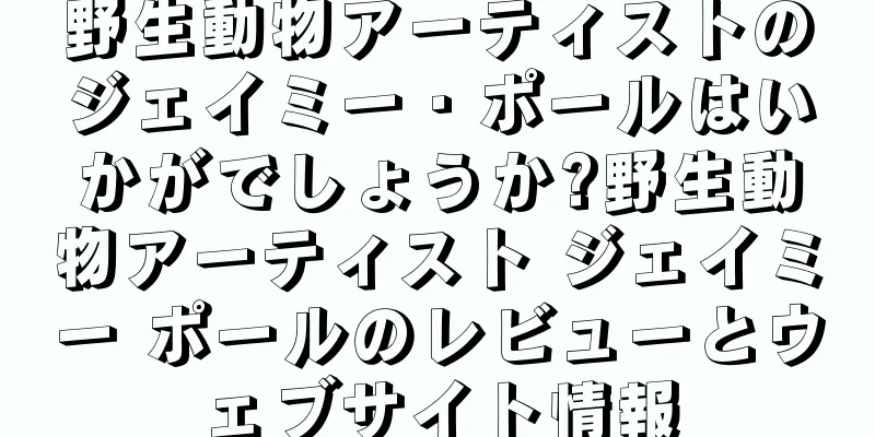 野生動物アーティストのジェイミー・ポールはいかがでしょうか?野生動物アーティスト ジェイミー ポールのレビューとウェブサイト情報
