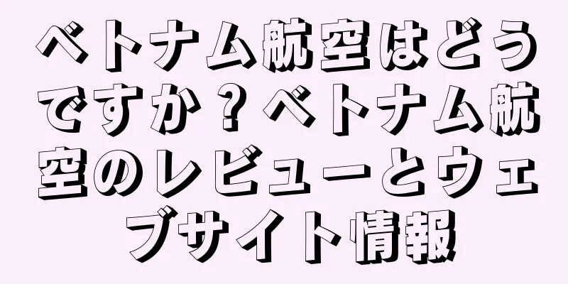 ベトナム航空はどうですか？ベトナム航空のレビューとウェブサイト情報