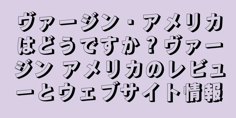 ヴァージン・アメリカはどうですか？ヴァージン アメリカのレビューとウェブサイト情報