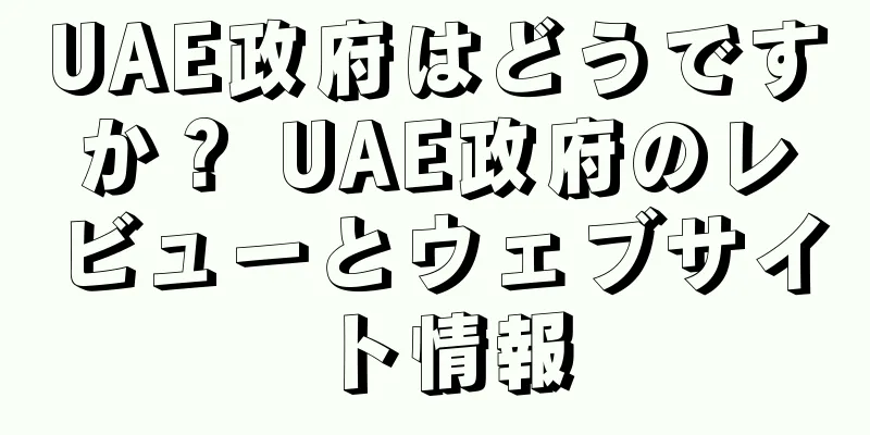 UAE政府はどうですか？ UAE政府のレビューとウェブサイト情報