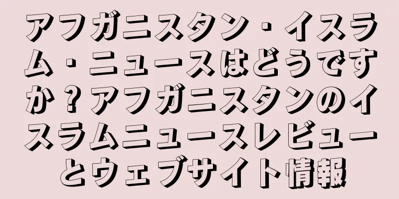 アフガニスタン・イスラム・ニュースはどうですか？アフガニスタンのイスラムニュースレビューとウェブサイト情報