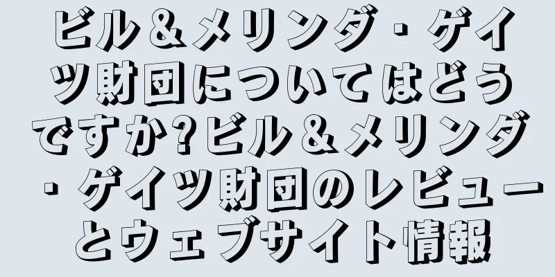ビル＆メリンダ・ゲイツ財団についてはどうですか?ビル＆メリンダ・ゲイツ財団のレビューとウェブサイト情報