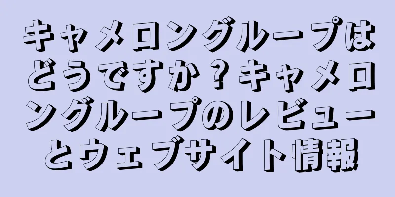 キャメロングループはどうですか？キャメロングループのレビューとウェブサイト情報