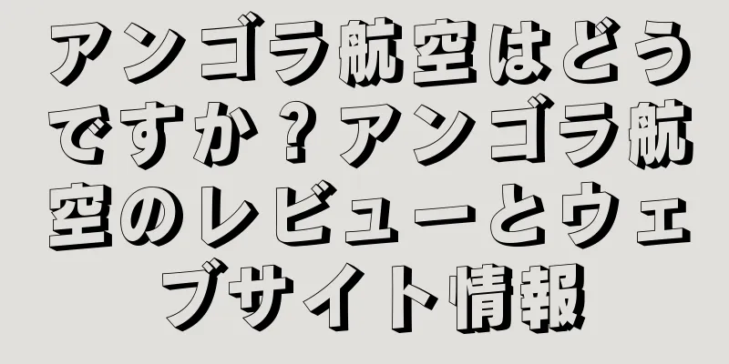 アンゴラ航空はどうですか？アンゴラ航空のレビューとウェブサイト情報