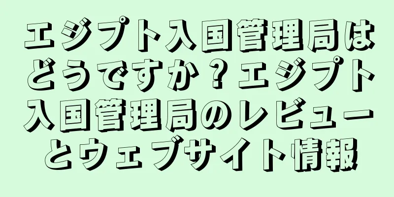 エジプト入国管理局はどうですか？エジプト入国管理局のレビューとウェブサイト情報
