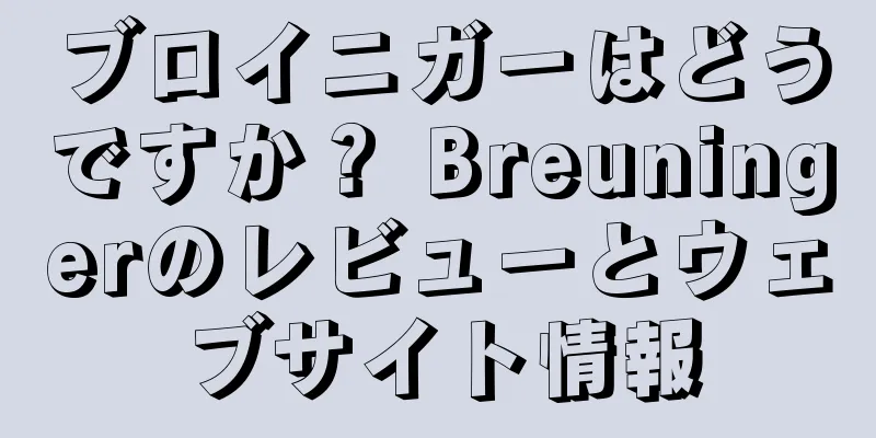 ブロイニガーはどうですか？ Breuningerのレビューとウェブサイト情報