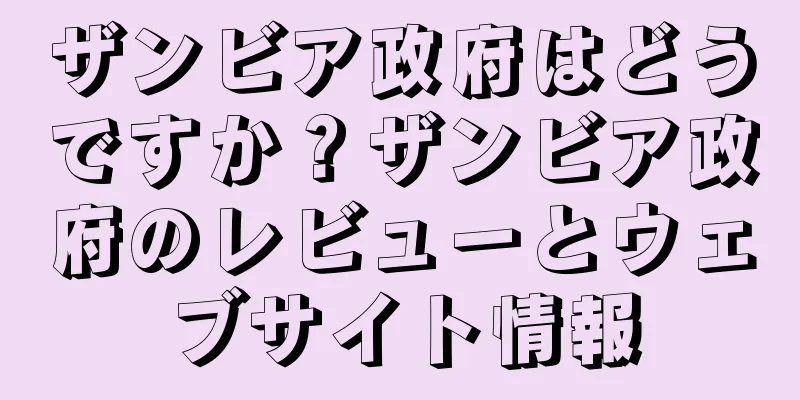 ザンビア政府はどうですか？ザンビア政府のレビューとウェブサイト情報