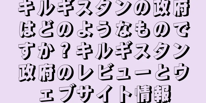 キルギスタンの政府はどのようなものですか？キルギスタン政府のレビューとウェブサイト情報