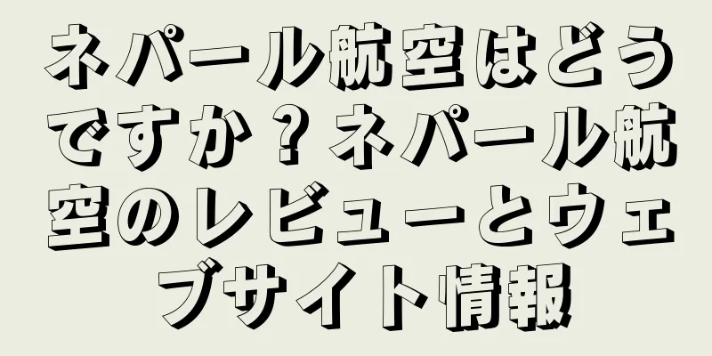 ネパール航空はどうですか？ネパール航空のレビューとウェブサイト情報