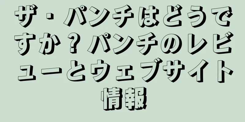 ザ・パンチはどうですか？パンチのレビューとウェブサイト情報