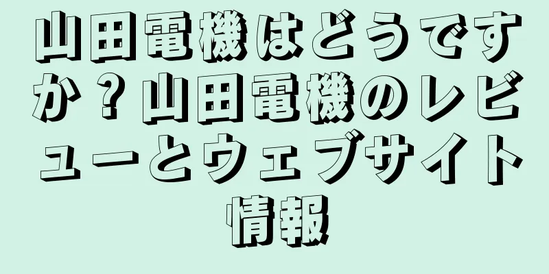 山田電機はどうですか？山田電機のレビューとウェブサイト情報