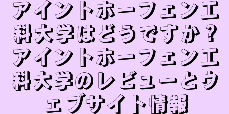 アイントホーフェン工科大学はどうですか？アイントホーフェン工科大学のレビューとウェブサイト情報