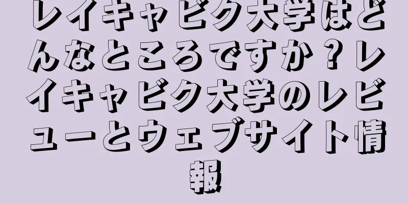 レイキャビク大学はどんなところですか？レイキャビク大学のレビューとウェブサイト情報