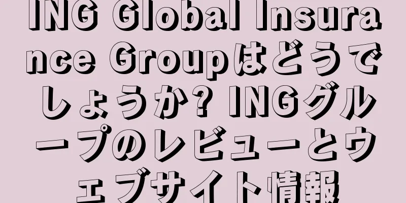ING Global Insurance Groupはどうでしょうか? INGグループのレビューとウェブサイト情報