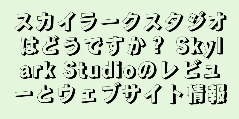 スカイラークスタジオはどうですか？ Skylark Studioのレビューとウェブサイト情報