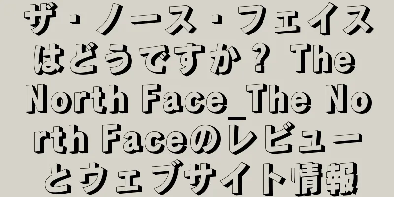 ザ・ノース・フェイスはどうですか？ The North Face_The North Faceのレビューとウェブサイト情報