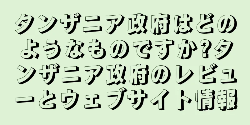 タンザニア政府はどのようなものですか?タンザニア政府のレビューとウェブサイト情報