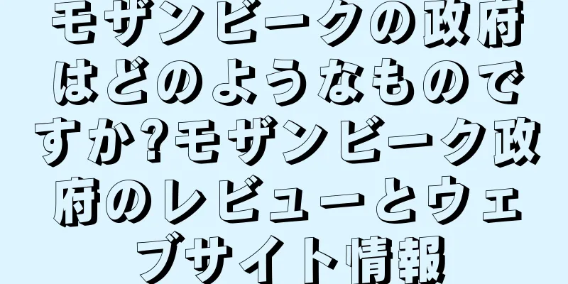 モザンビークの政府はどのようなものですか?モザンビーク政府のレビューとウェブサイト情報