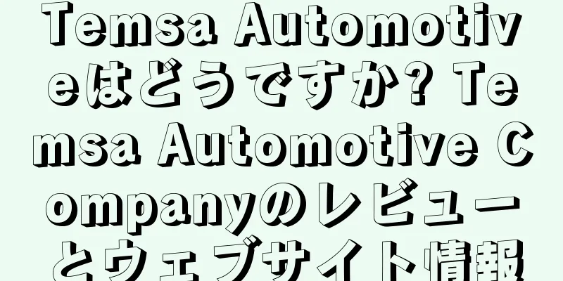 Temsa Automotiveはどうですか? Temsa Automotive Companyのレビューとウェブサイト情報