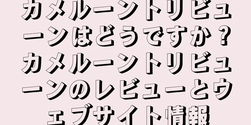 カメルーントリビューンはどうですか？カメルーントリビューンのレビューとウェブサイト情報