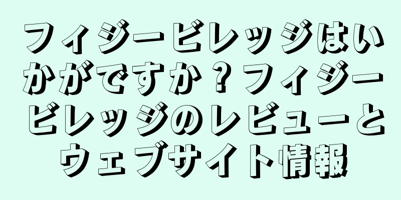 フィジービレッジはいかがですか？フィジービレッジのレビューとウェブサイト情報