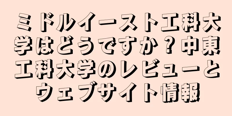 ミドルイースト工科大学はどうですか？中東工科大学のレビューとウェブサイト情報