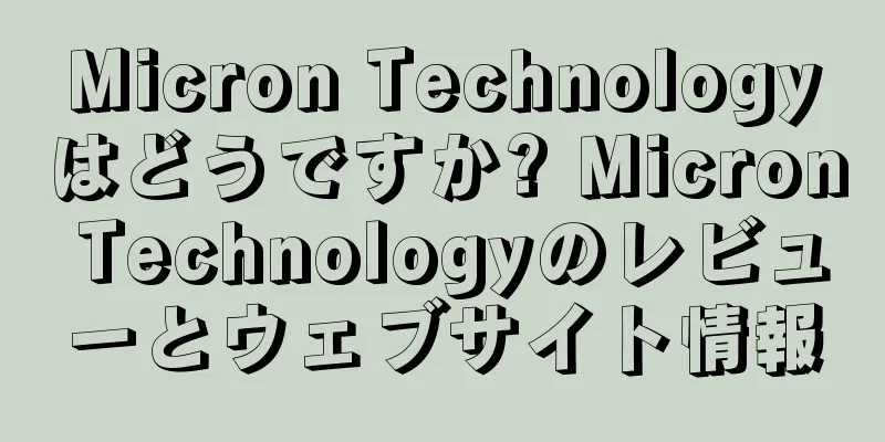 Micron Technologyはどうですか? Micron Technologyのレビューとウェブサイト情報