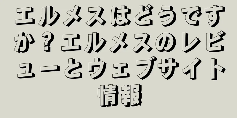 エルメスはどうですか？エルメスのレビューとウェブサイト情報