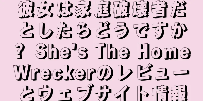 彼女は家庭破壊者だとしたらどうですか？ She's The Home Wreckerのレビューとウェブサイト情報