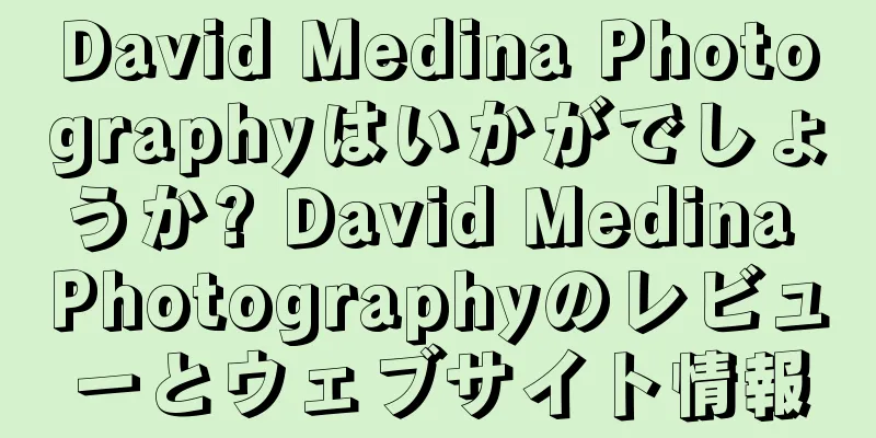 David Medina Photographyはいかがでしょうか? David Medina Photographyのレビューとウェブサイト情報