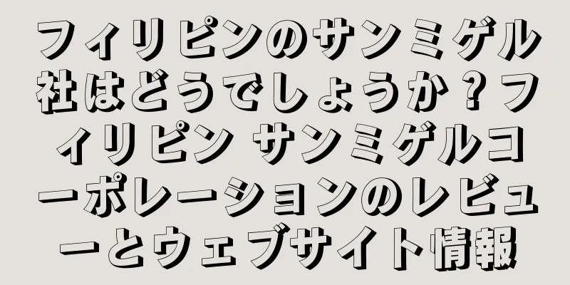 フィリピンのサンミゲル社はどうでしょうか？フィリピン サンミゲルコーポレーションのレビューとウェブサイト情報