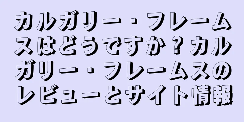 カルガリー・フレームスはどうですか？カルガリー・フレームスのレビューとサイト情報