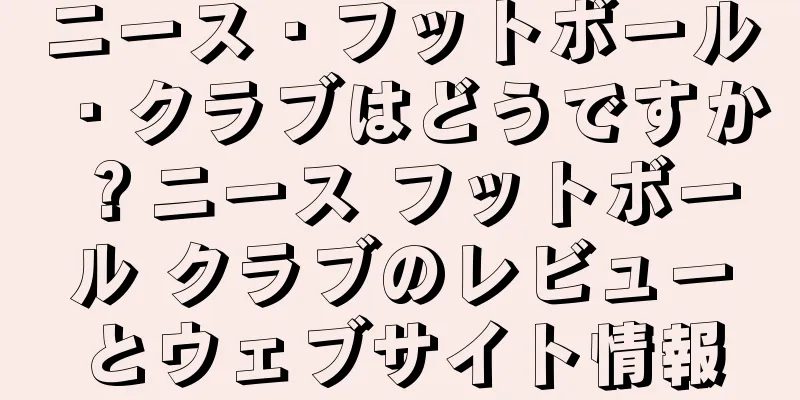 ニース・フットボール・クラブはどうですか？ニース フットボール クラブのレビューとウェブサイト情報