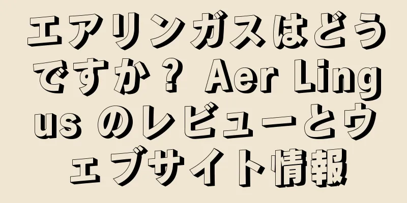 エアリンガスはどうですか？ Aer Lingus のレビューとウェブサイト情報