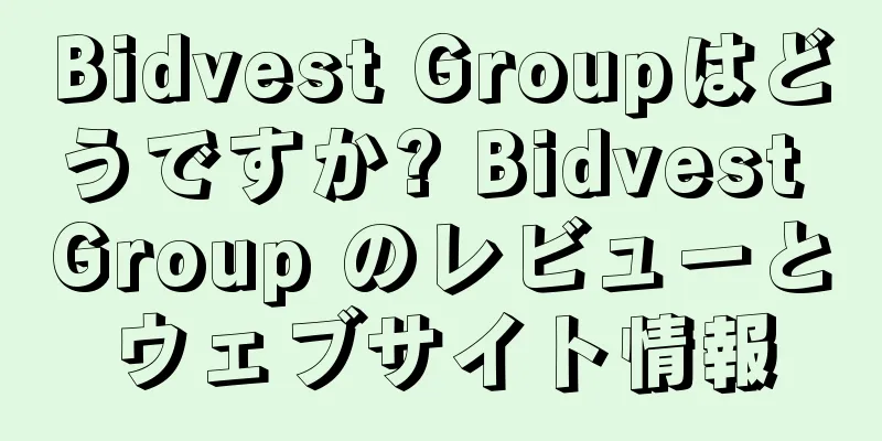 Bidvest Groupはどうですか? Bidvest Group のレビューとウェブサイト情報