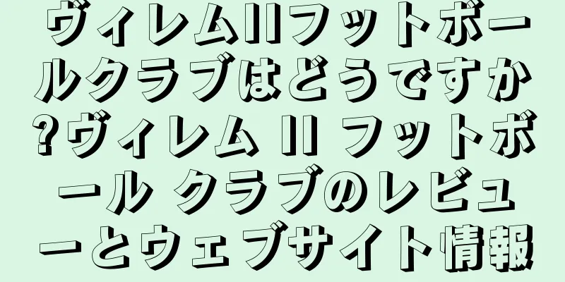 ヴィレムIIフットボールクラブはどうですか?ヴィレム II フットボール クラブのレビューとウェブサイト情報