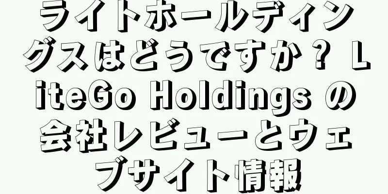 ライトホールディングスはどうですか？ LiteGo Holdings の会社レビューとウェブサイト情報