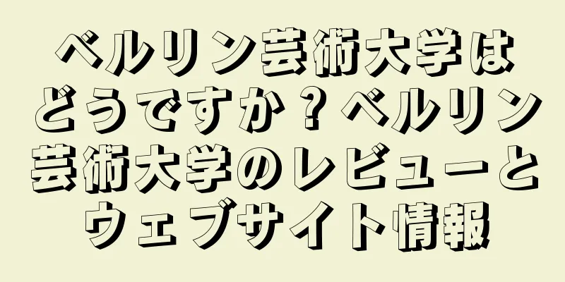 ベルリン芸術大学はどうですか？ベルリン芸術大学のレビューとウェブサイト情報
