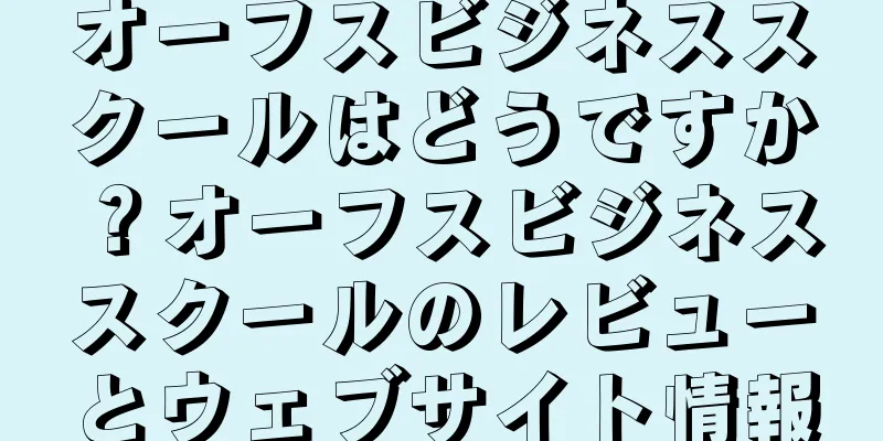 オーフスビジネススクールはどうですか？オーフスビジネススクールのレビューとウェブサイト情報
