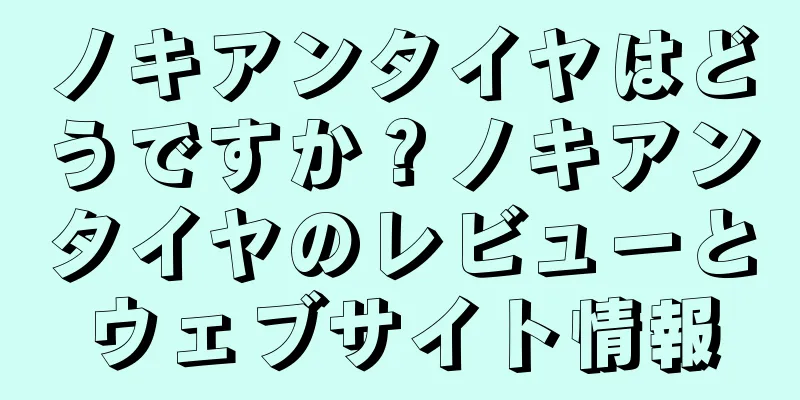 ノキアンタイヤはどうですか？ノキアンタイヤのレビューとウェブサイト情報