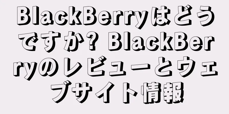 BlackBerryはどうですか? BlackBerryのレビューとウェブサイト情報