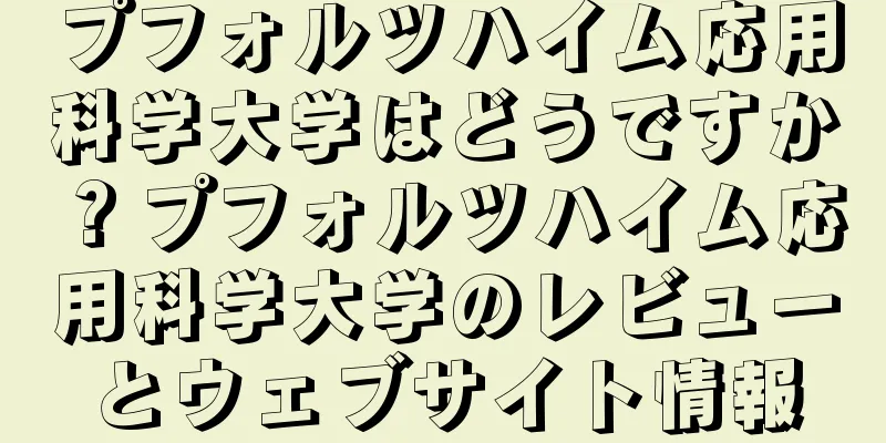 プフォルツハイム応用科学大学はどうですか？プフォルツハイム応用科学大学のレビューとウェブサイト情報