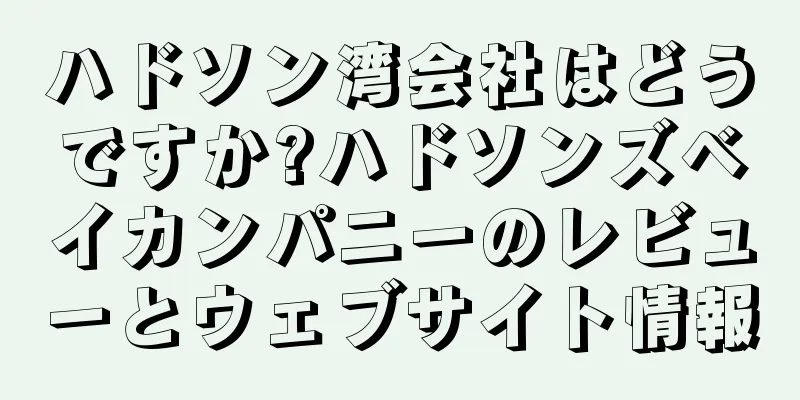 ハドソン湾会社はどうですか?ハドソンズベイカンパニーのレビューとウェブサイト情報