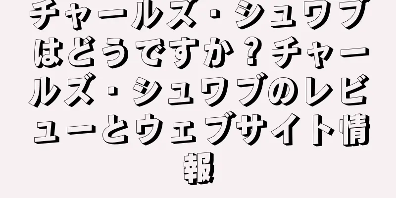 チャールズ・シュワブはどうですか？チャールズ・シュワブのレビューとウェブサイト情報