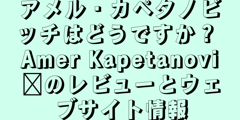 アメル・カペタノビッチはどうですか？ Amer Kapetanovićのレビューとウェブサイト情報
