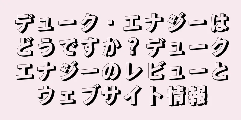 デューク・エナジーはどうですか？デュークエナジーのレビューとウェブサイト情報